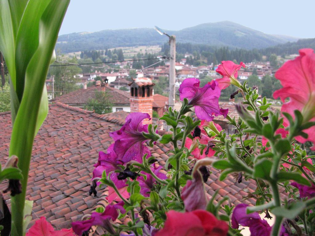 Guest House Lina Koprivshtitsa Bagian luar foto
